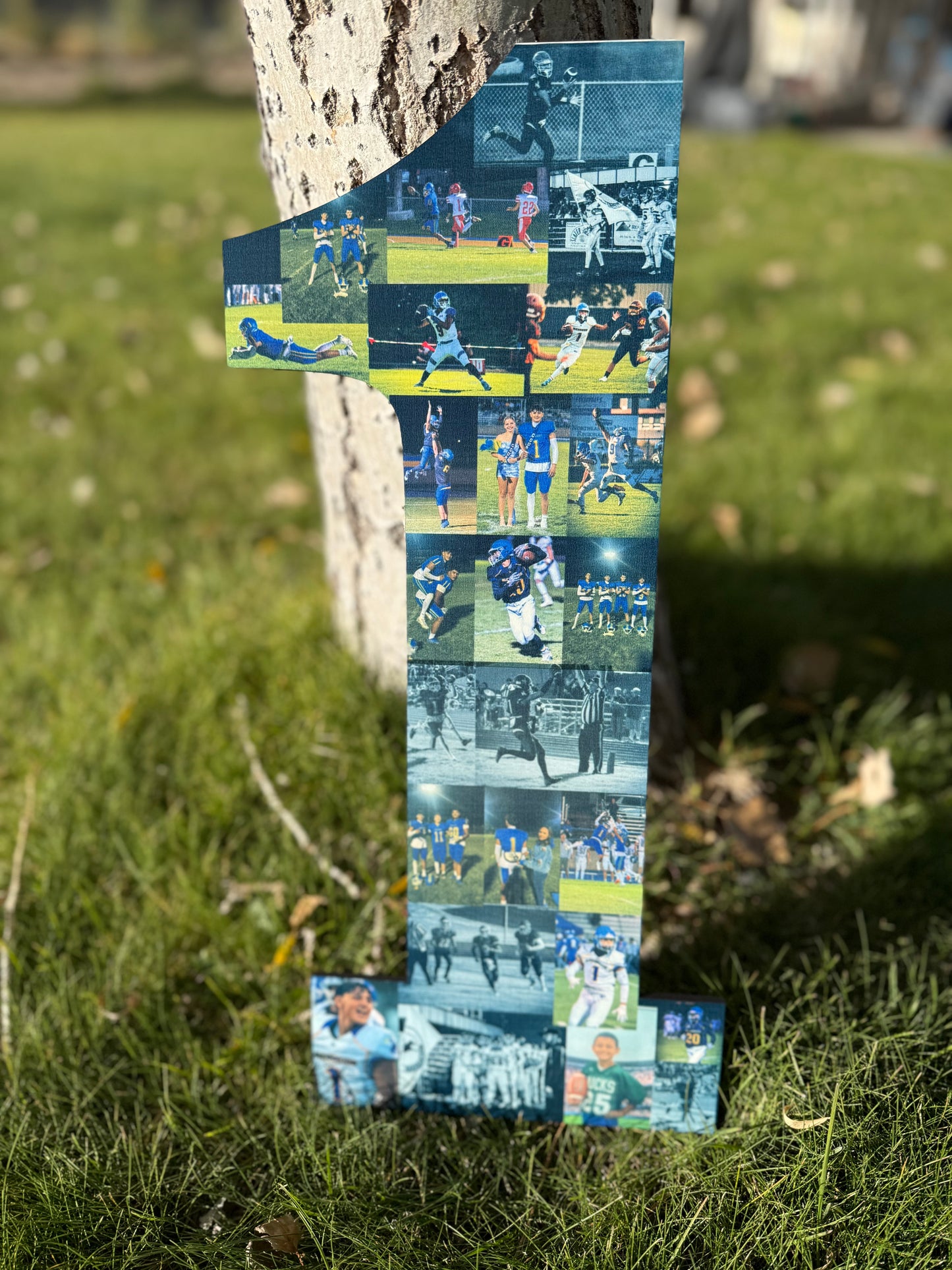 Custom Order for Edith